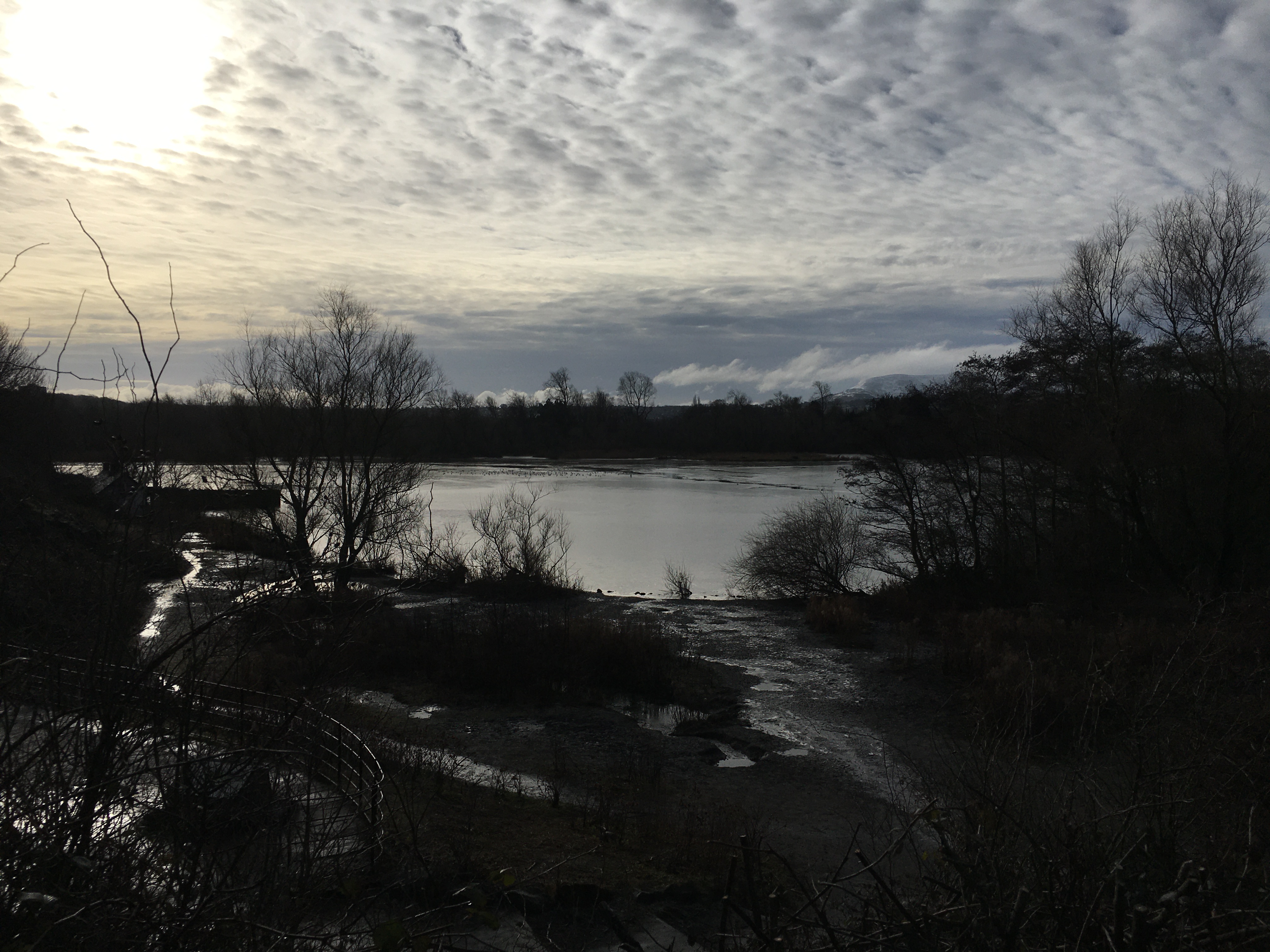 This image has an empty alt attribute; its file name is img_5686.jpeg