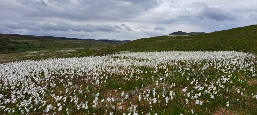 Poetic Reflection –&nbsp;Dominion