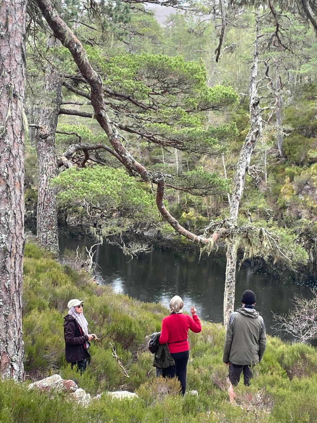 Glen Affric Insights: Reviving Ecosystems for&nbsp;Balance